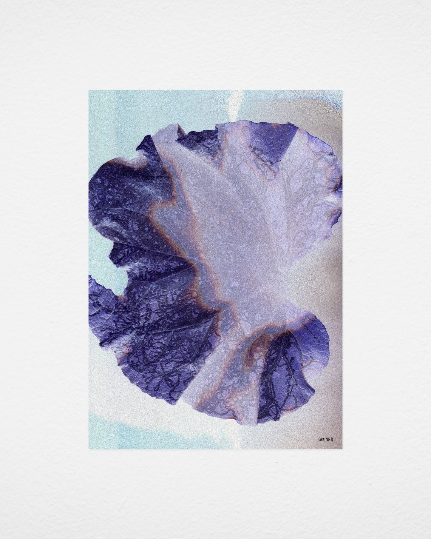 Leaf 01