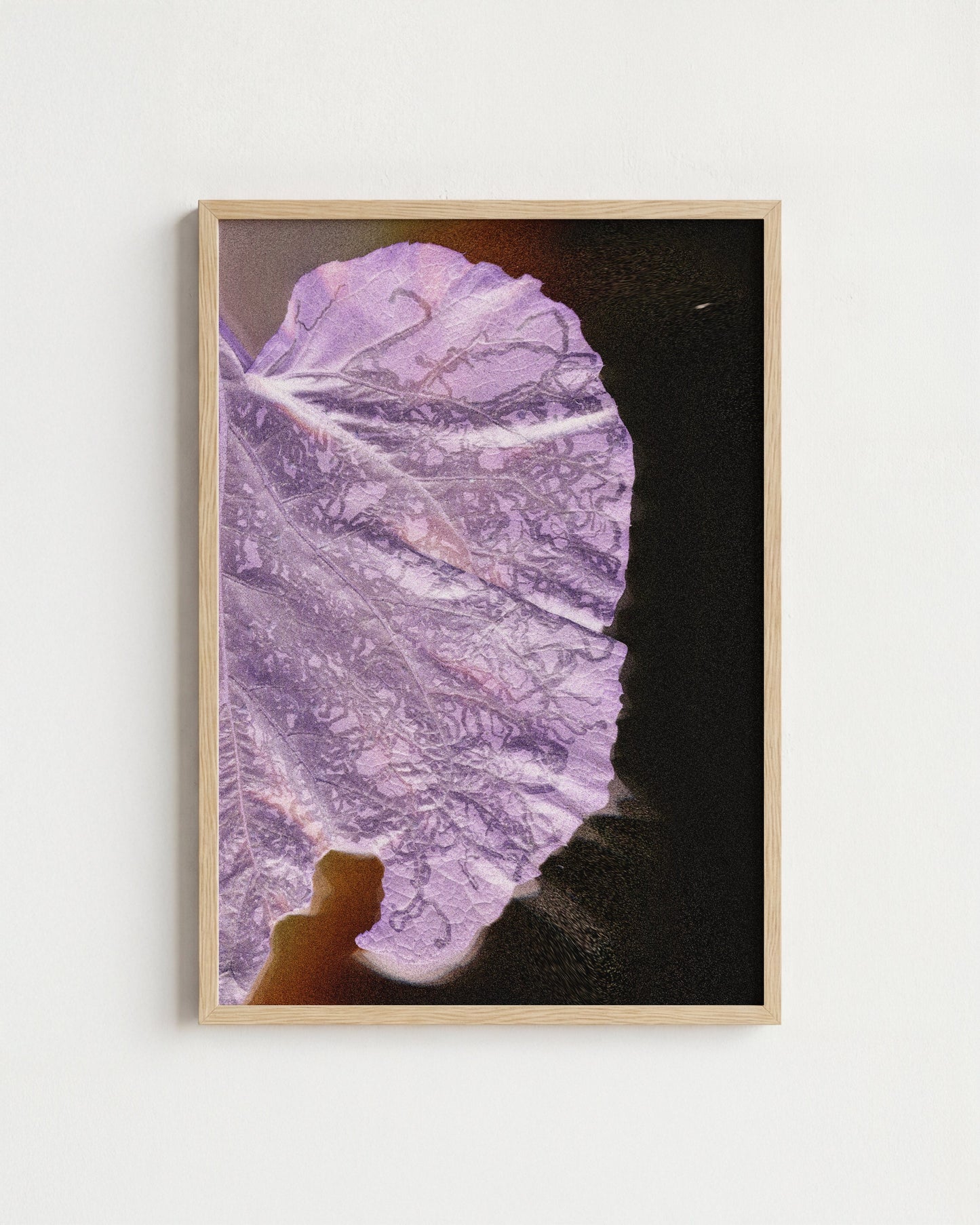 Leaf 02